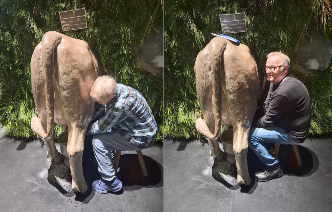 Eine Kuh zu melken, ist gar nicht so leicht. Diese hier ist klimafreundlich und pupst kein Methan.