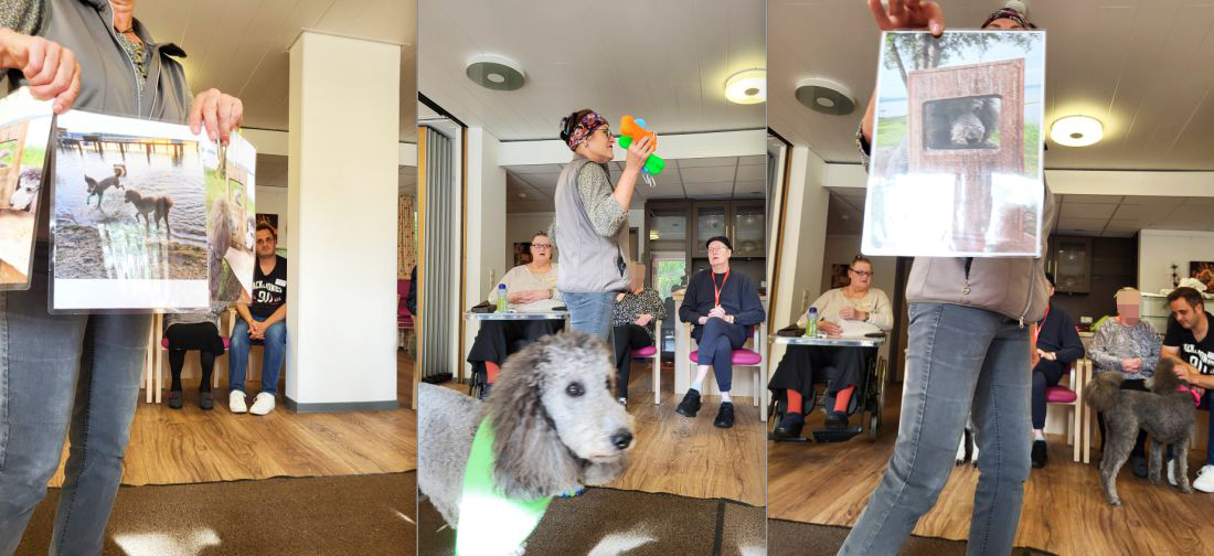 Urlaubsfotos werden gezeigt